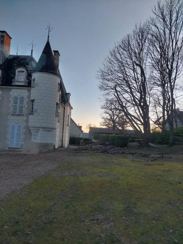 Le printemps se prépare en douceur… 🌿