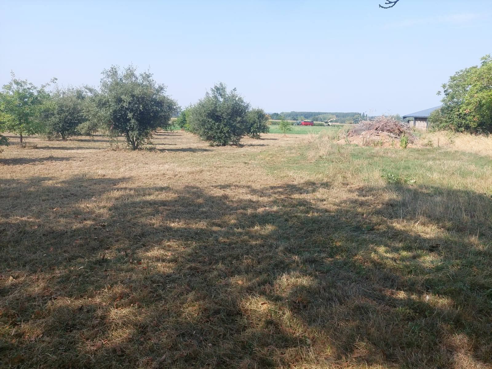 Le printemps se pr&eacute;pare en douceur&hellip; 🌿